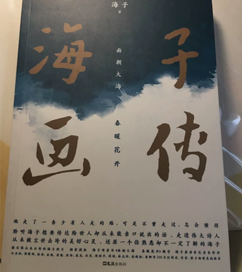 《海子画传》 降价出售 书中有少许勾画痕迹...
