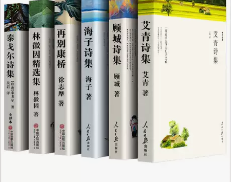 顾城诗集海子的诗徐志摩精选集林徽因散文泰戈...