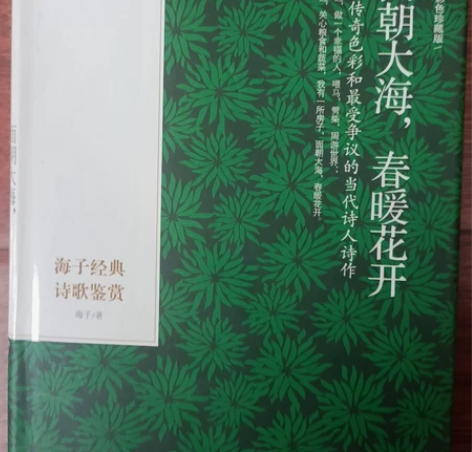 面朝大海 春暖花开 海子诗集 感兴趣的话点...