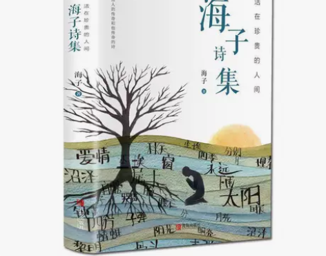 海子的诗 正版面朝大海春暖花开海子传记文学...