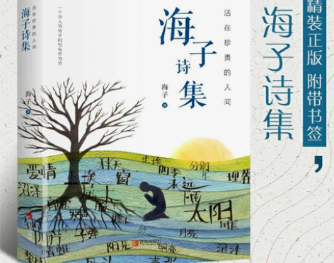 【硬壳精装】活在珍贵的人间：海子诗集 海子...