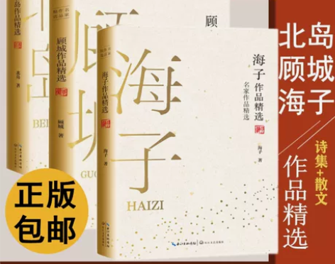 【狂欢价】顾城北岛海子诗集散文集小说随笔合...