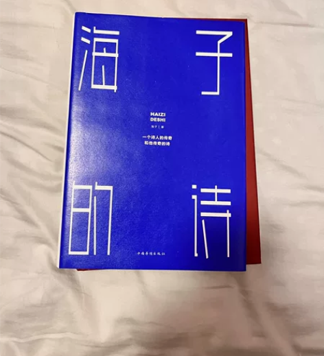 海子的诗 海子 一个诗人的传奇和他传奇 因...