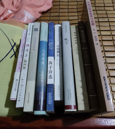 师陀、安妮宝贝(庆山)、海子、《三辅黄图校...