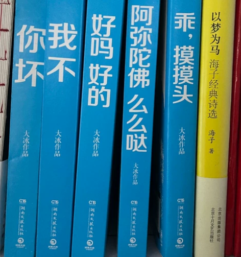 大冰的书 五本 没有塑封膜 但是是全新的 ...