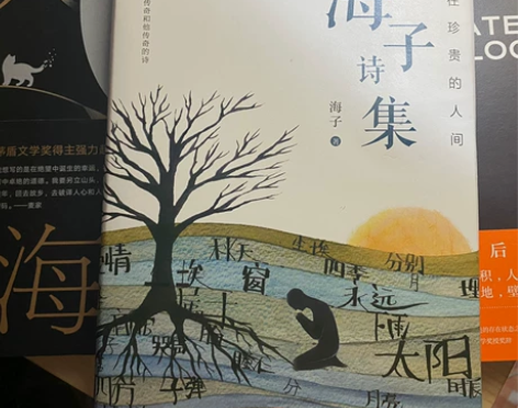 海子诗集 精装硬壳彩页 全新带塑封 包邮 ...
