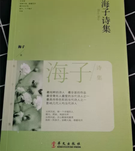 海子的诗 正品包邮 本店铺出售均为正品 需...