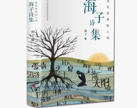 海子诗集  活在珍贵的人间 海子的诗 海子...