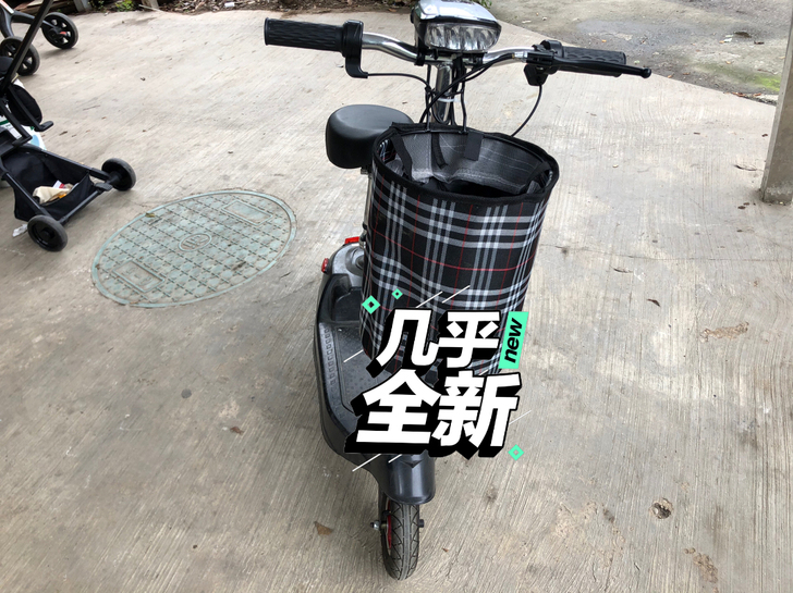 小型电动车，20年入手的，充满电可能跑4公...