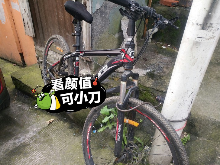 快高中毕业了，以后不骑了，219便宜卖了，...