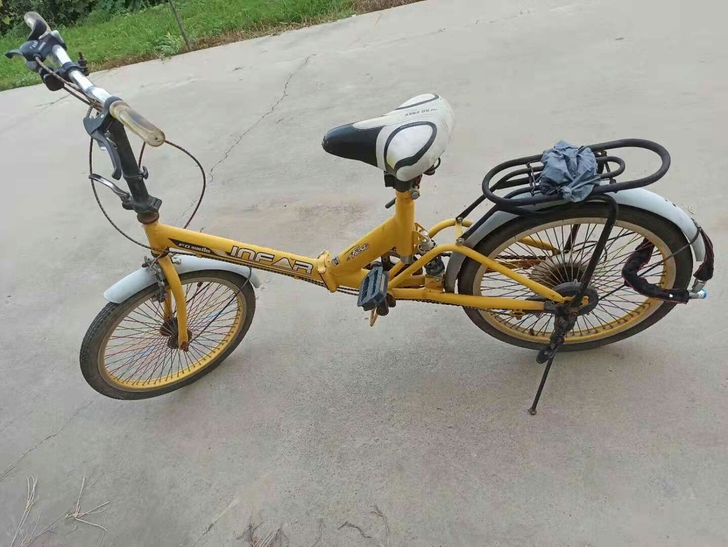 旧折叠自行车,成色如图,不经常骑,没什么毛...