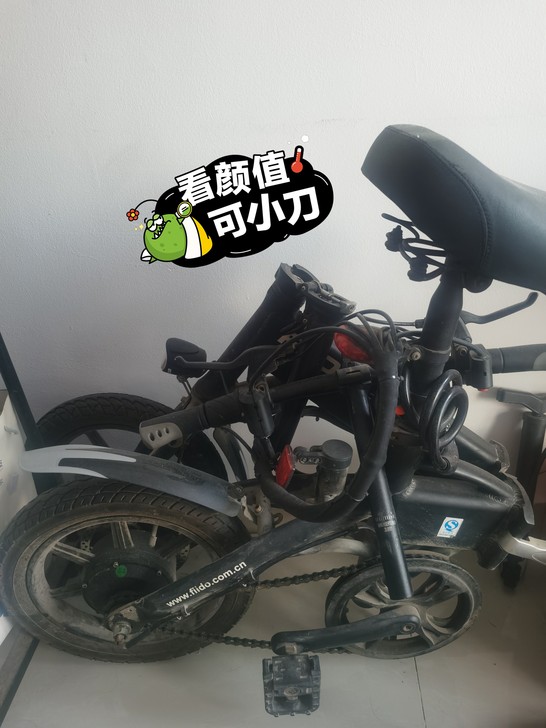 FIIDO锂电池可折叠电动自行车九成新