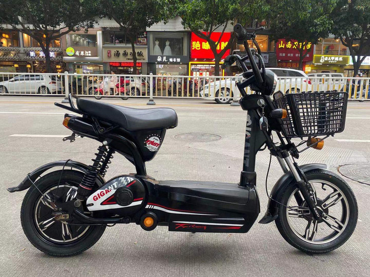 捷尔德钢管电动车 5大电池 极品