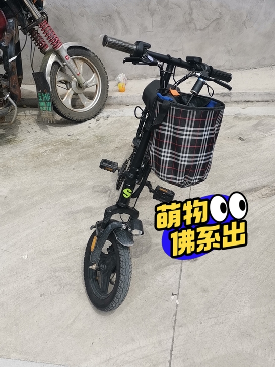 拼多多上买的，可以看一下同款起步价都一千多...