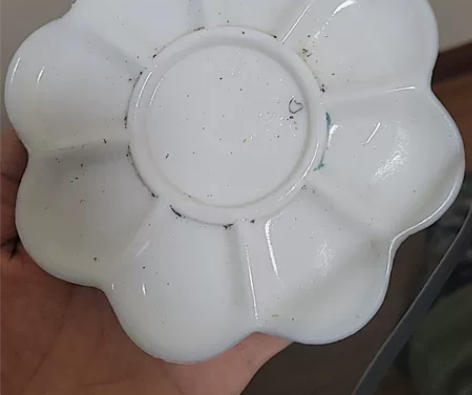 老染料盘，瓷盘。调色盘。应该是纹路，不是裂...