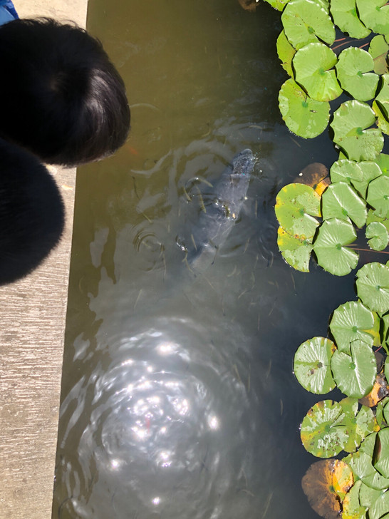 2020 最新性能测试