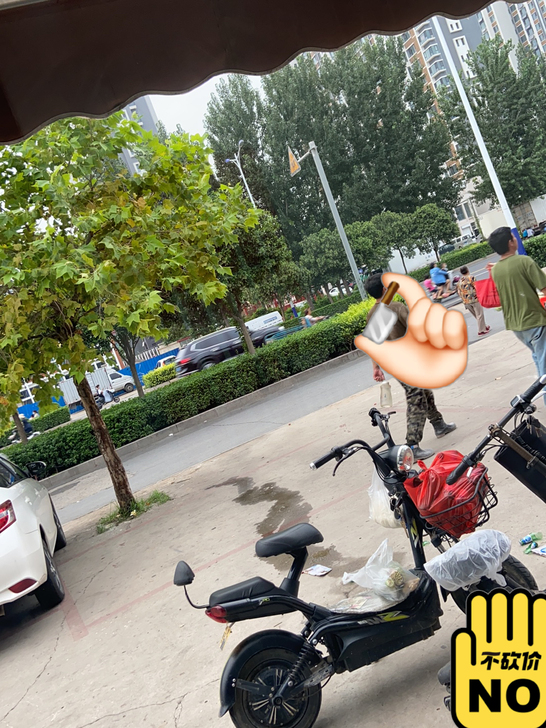 自己家骑的电动车 新日 买了到现在两年 速...