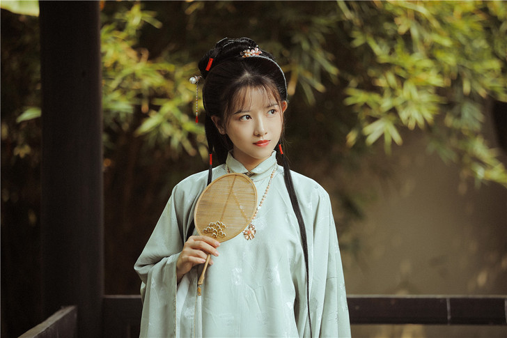 兰若庭 汉服 太平有象 长袄 立领斜襟 明制