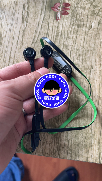 雷蛇耳机，一共没有带过几次，全套，为了遛狗...