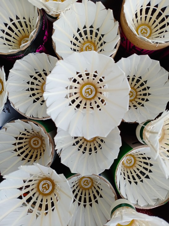 超值包邮！二手维克多羽毛球胜利羽毛球9成新...