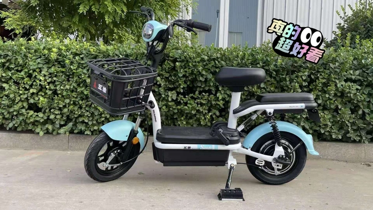 全新五羊电动车！小金果！新国标带脚蹬可现场...