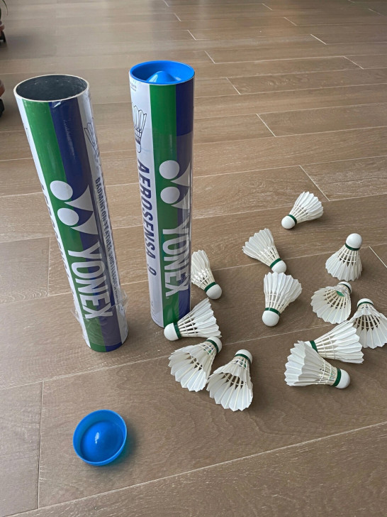 【处理全新闲置羽毛球】耐打羽毛球 训练羽毛...