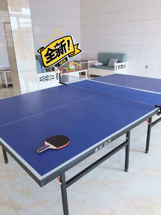 9成新的乒乓球桌，公司团建活动买的几套，后...