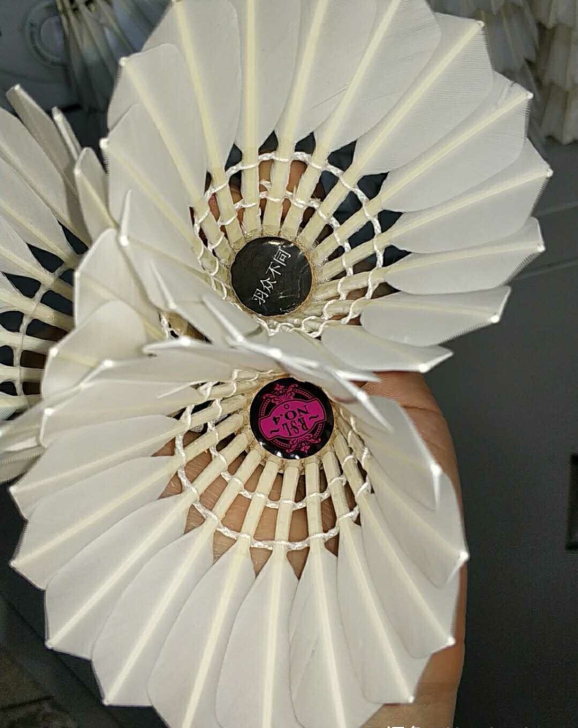 羽众不同鹚鸪豚全圆飞行稳定毛尖点胶耐打出色...