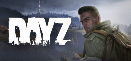 DayZ豪华版  全新账号 正版PC中文D...