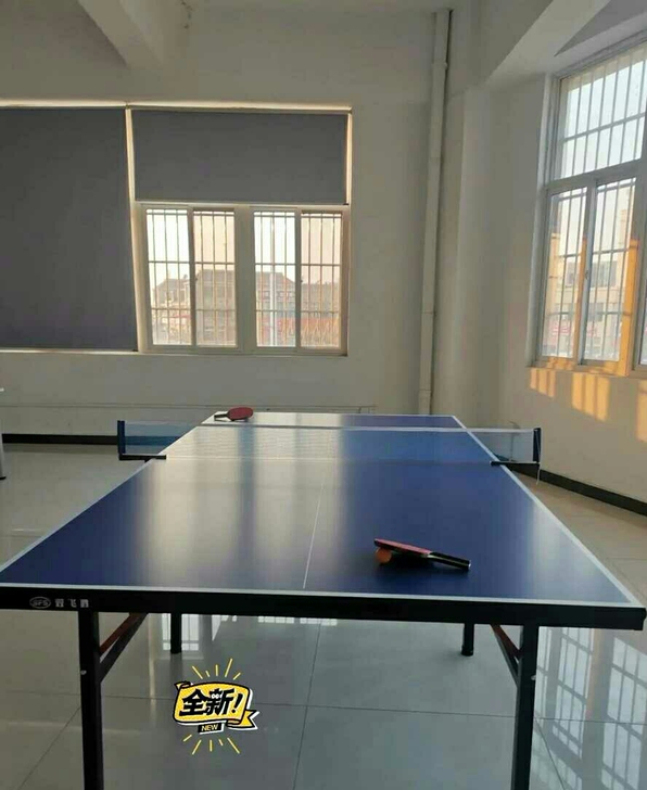 全新乒乓球桌 16面50角。