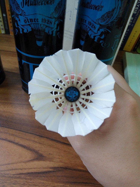 羽毛球耐打亚狮龙羽毛球7号4号3号6号5号...