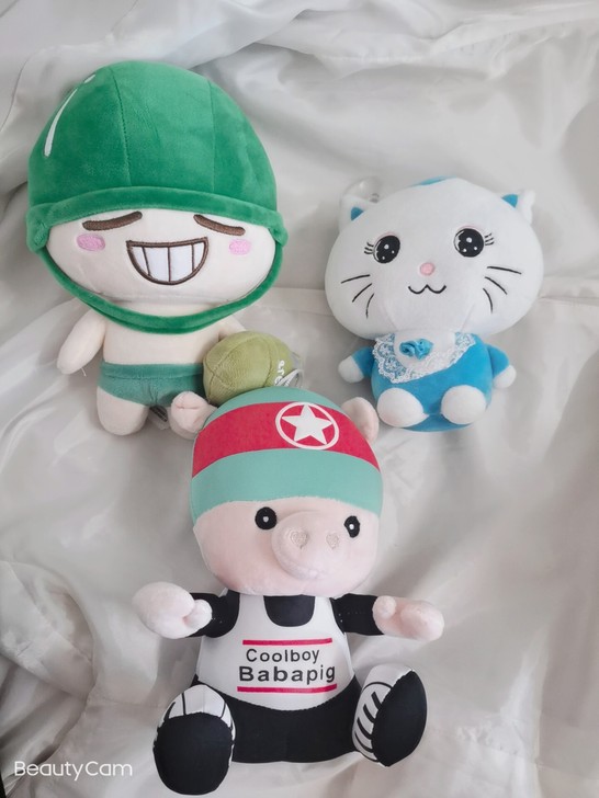 玩偶 单个9元出 东西太多放不下 ...