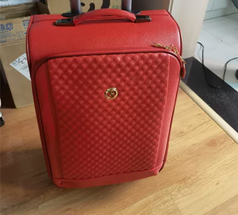 啄木鸟行李箱，20寸，含防尘罩。 感兴趣的...