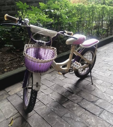 上海永久儿童自行车，地点成都大学附近 因小...