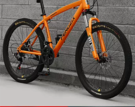 上海凤凰车件有限公司山地自行车成人男女式单...