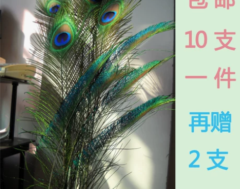 孔雀羽毛纯天然真孔雀毛花瓶装饰ins插花D...
