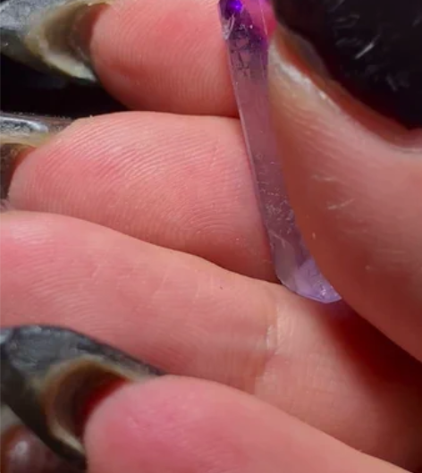 维拉克鲁兹满资料库紫的很紫透的很透 一大堆...