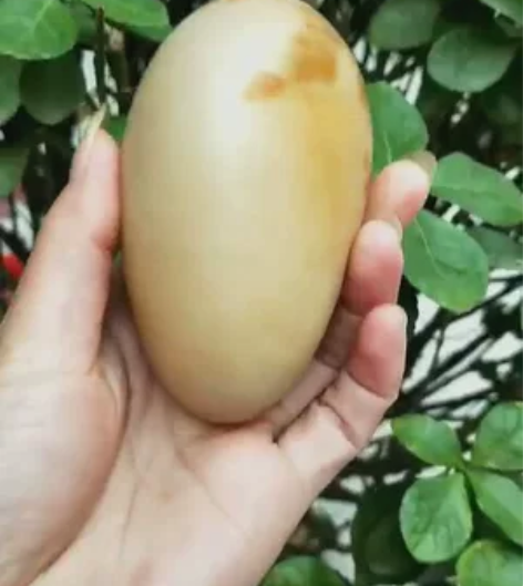 长岛球石 长岛鹅卵球石 大美蓬莱仙境长岛球...