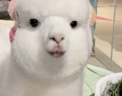 【慢收】遥远时空中7 蒸汽监狱 百花百...