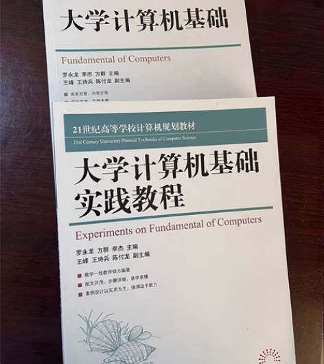 大学计算机基础 大学计算机基础实践教程 两...