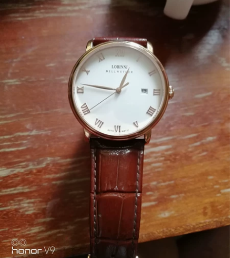 罗宾尼正品商务男表品牌自动机械表男防水皮带...