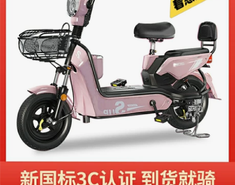 【全新甩卖50台电动车】48V电动车男女成...