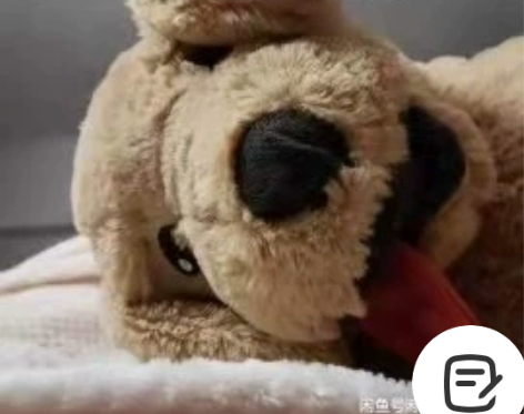 python 编写程序 改bug 留学可接...