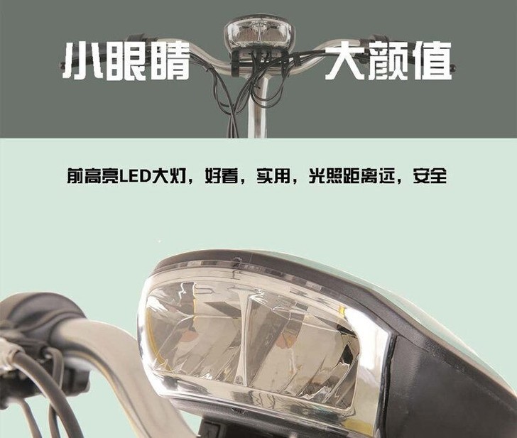 新日电动车轻便锂电48Ⅴ12AH