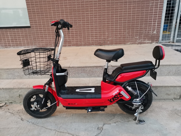 48v20a爱玛电动车