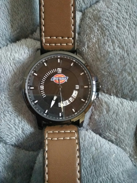 Dickies帝客石英机芯手表