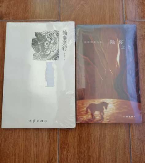 十元两本！！ 席慕容新诗集《除你之外》全新...