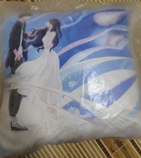 【出】北风知我意特签有抱枕 仅打开塑封，9...