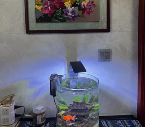 苏绣画。买家反馈。立体蚕丝真丝手工苏绣画。...