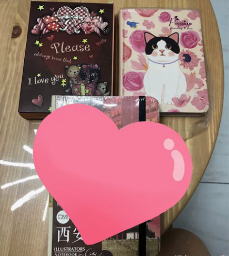手账 日记本 笔记本 日程本两个...